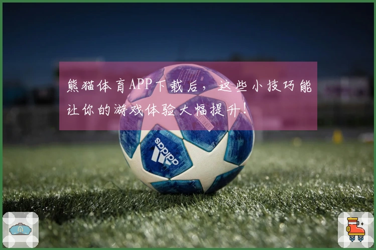 熊猫体育APP下载后，这些小技巧能让你的游戏体验大幅提升！